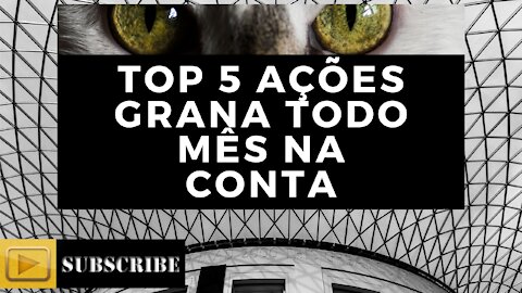 TOP 5 MELHORES PAGADORAS DE DIVIDENDOS