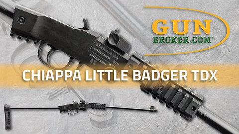 Chiappa Little Badger Take Down Xtreme Rifle