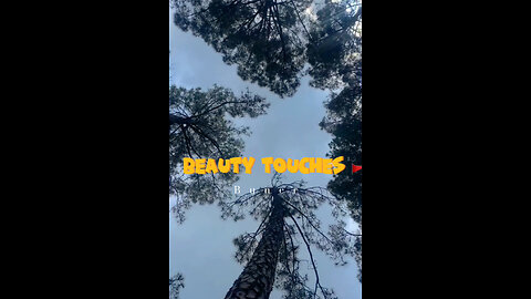 Beauty of Pakistan 🌸| nature explore | vlog