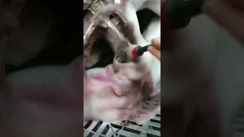 Dirty Mercedes entirely washed - PART 1