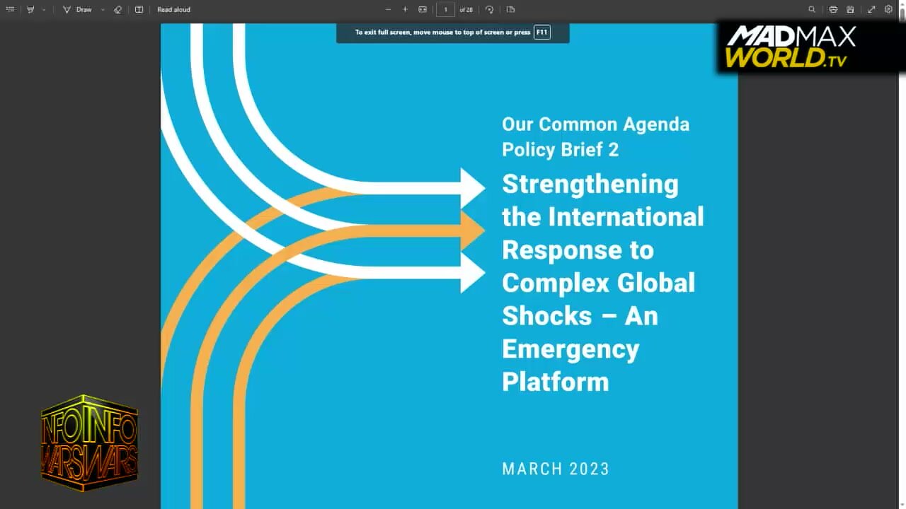 Maria Zeee Decodes the UN Emergency Response Report