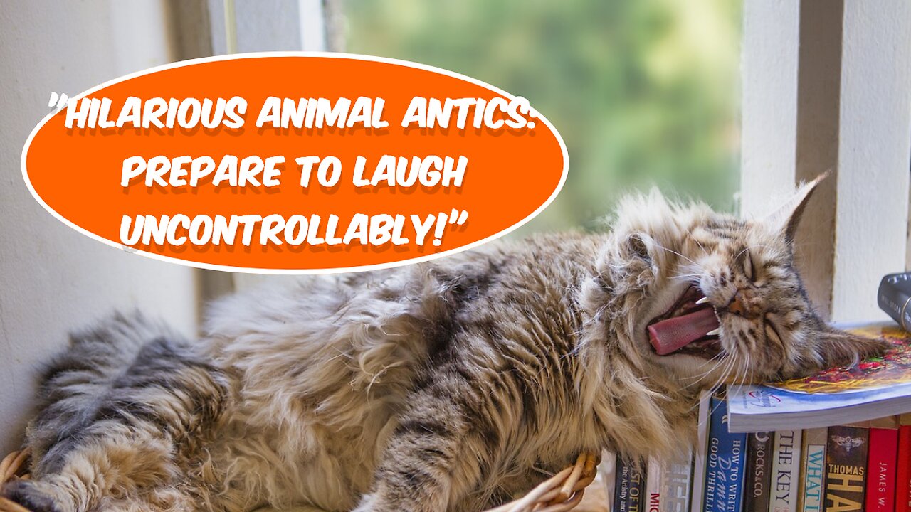 "Hilarious Animal Antics: Prepare to Laugh Uncontrollably!"