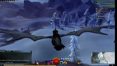 Guild Wars co-op stream some more!