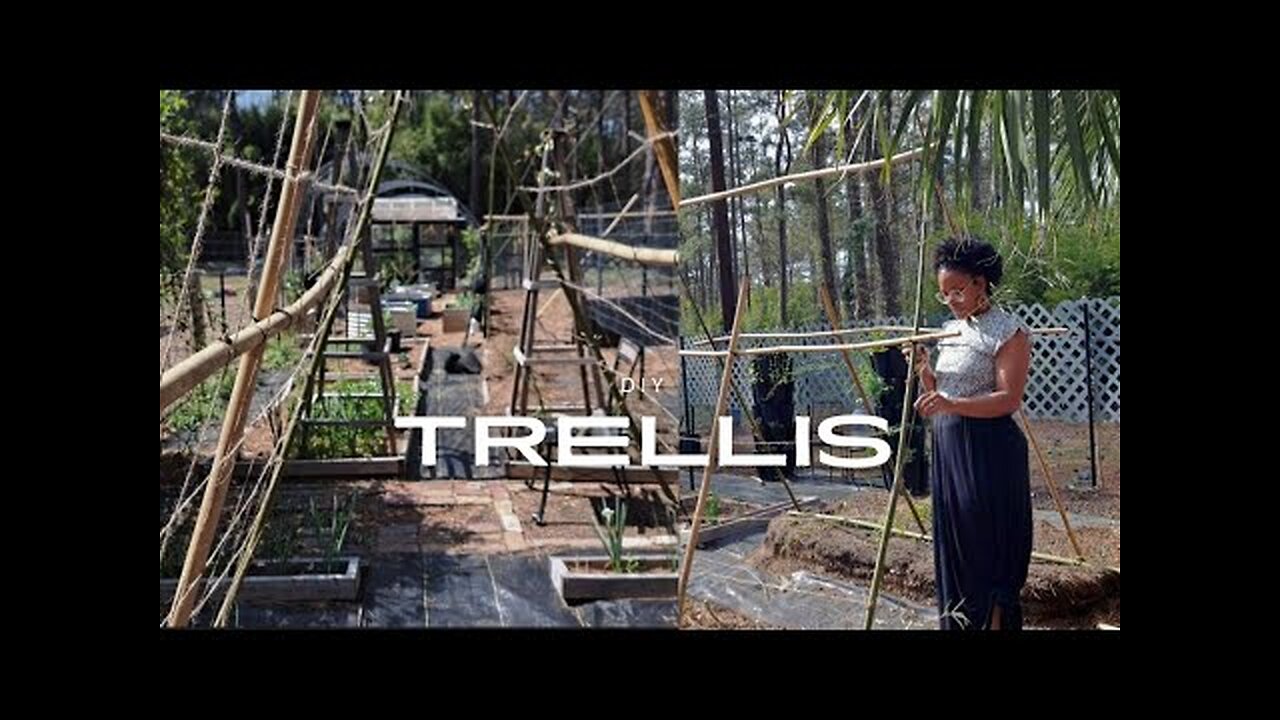 My FAVORITE diy Trellis (Planting too much food?!)