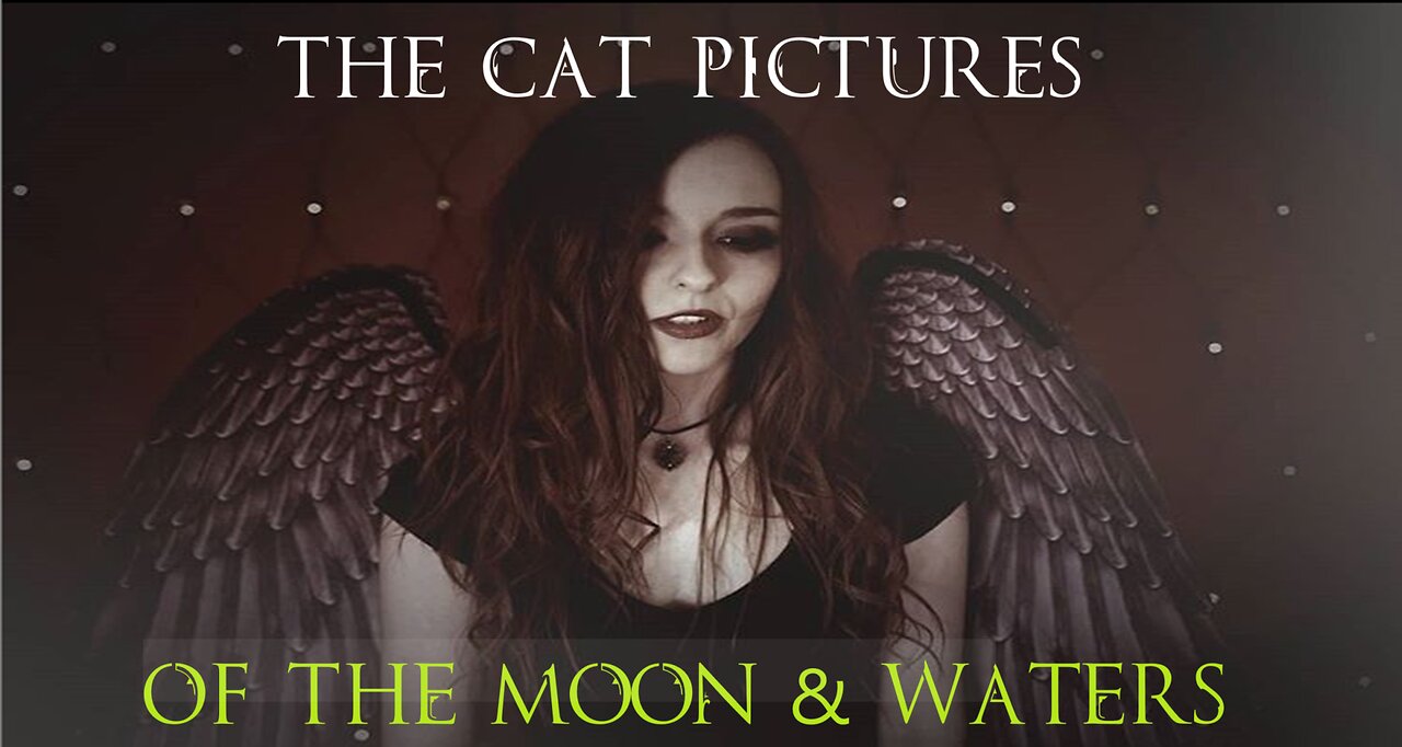 The Cat Pictures (feat. Rena Bond) - Of the Moon and Waters