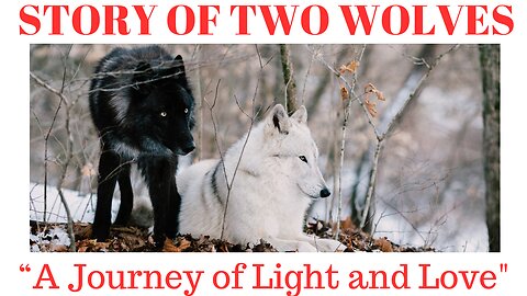 STORY OF TWO WOLVES