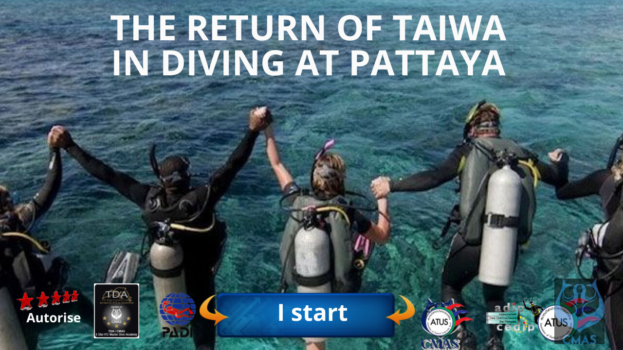 🤿 The return of China in diving in Pattaya