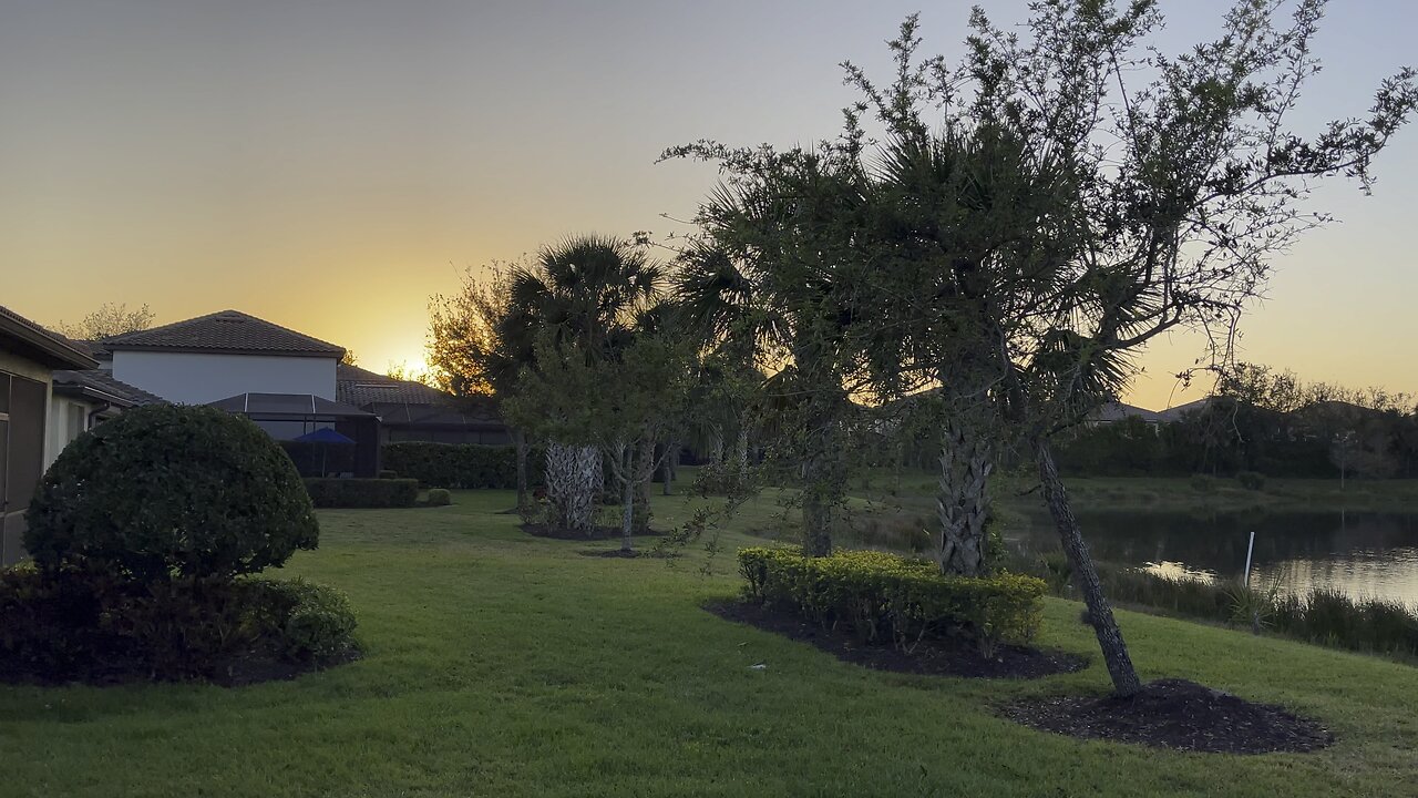 Great Blue Heron Sunrise (Widescreen) #GreatBlueHeron #Sunrise #GBH #FYP #SWFL #4K #DolbyVisionHDR