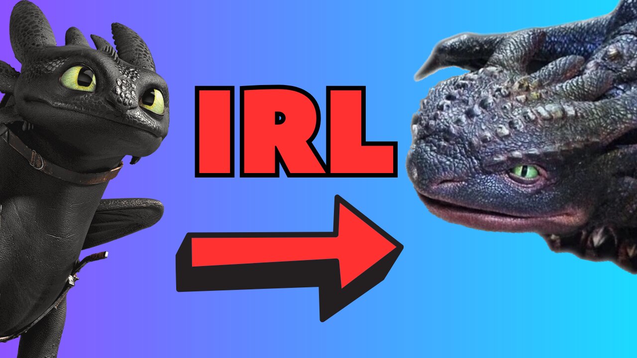 Live Action How to Train Your Dragon is Real...