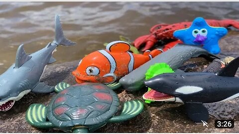 sea animals toys this summer at the shore 😂