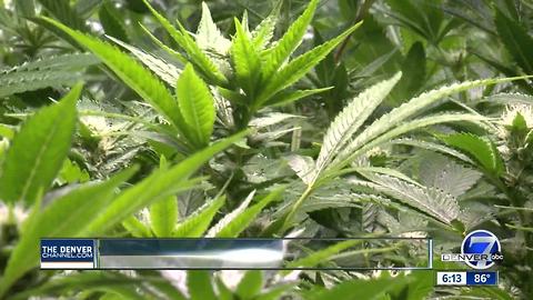 Veterans question medical marijuana resgulations