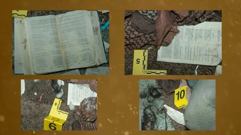 David Crowley Story #10 The Quran