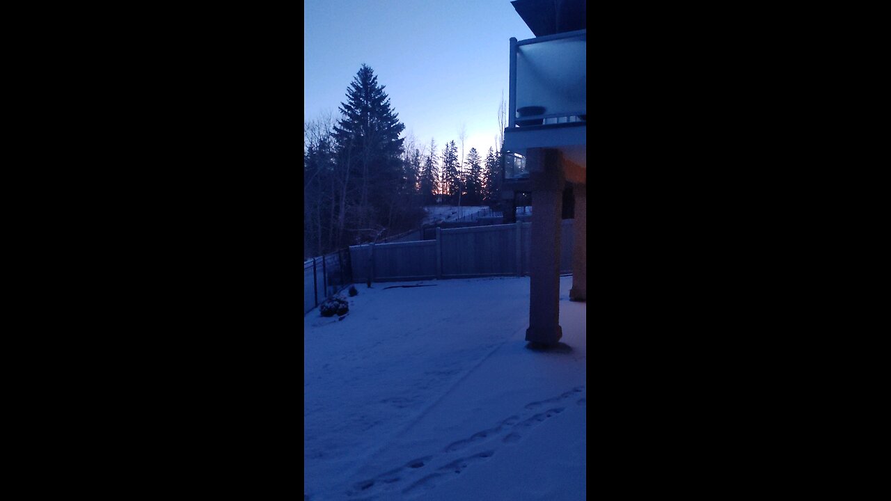 mild winter