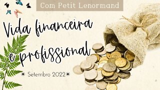 💰 TIRAGEM PARA VIDA FINANCEIRA E PROFISSIONAL | SETEMBRO 2022 | 🃏 Petit Lenormand 🔮
