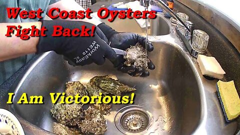 West Coast Oysters fight back but I am Victorious! April 2021