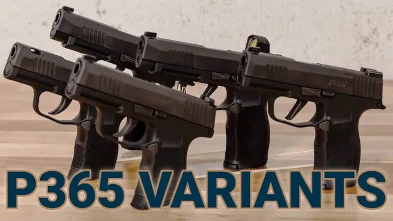 Looking at the Most Popular Variants of the P365