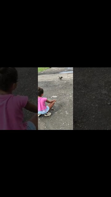 Puppy training - calling your puppy & loving your Puppy - Come chiamare e voler bene al tuo Cucciolo