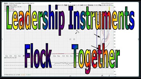 Stock Movers Flock Together - #1241