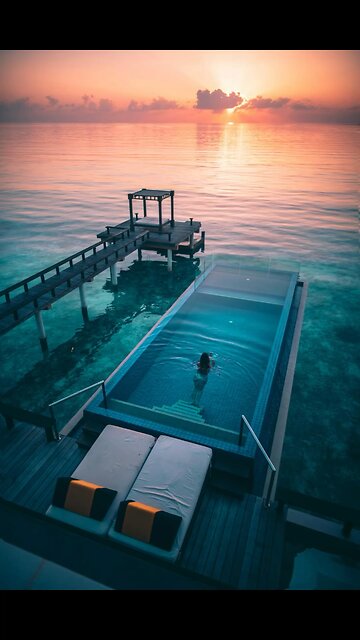 What would a Dream year look like for you?