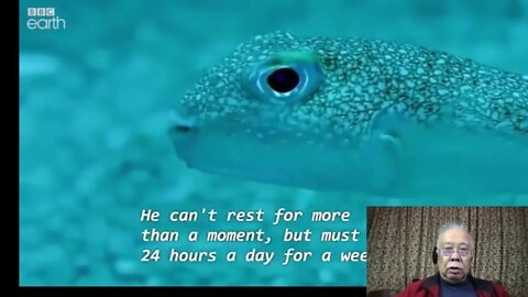 [分享] 美麗和幾秒的自然界