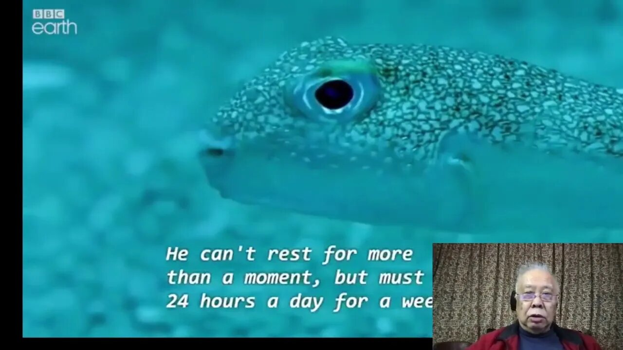 [分享] 美麗和幾秒的自然界