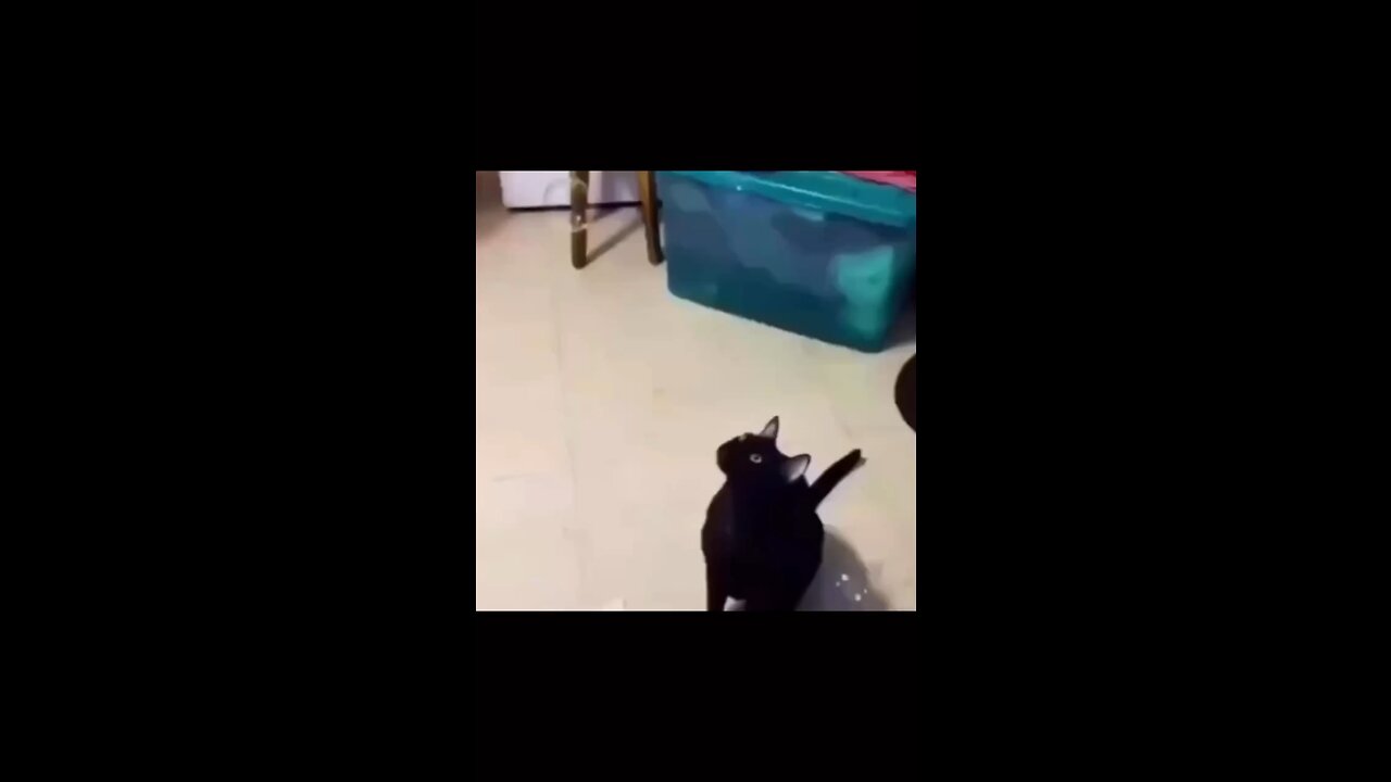 Poor Markus.