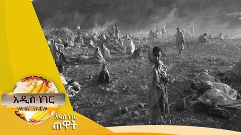 ኅዳር ለምን ይታጠናል እና ሌሎችም መረጃዎች፣ህዳር 12,2016 What's New Nov 22,2023
