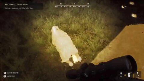 Way of the Hunter walkthrough part 5 xbox series s