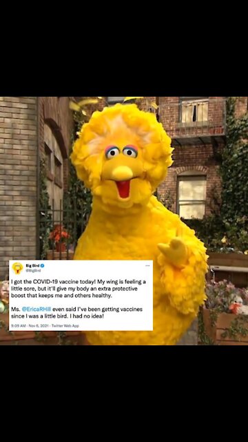 Hey, Big Bird is jabbed 😀😝
