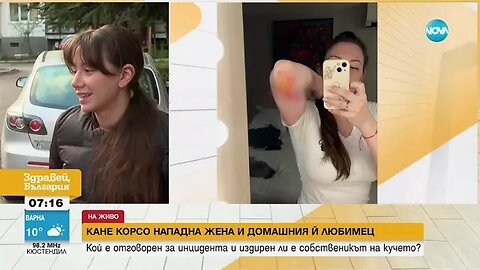 Куче от бойна порода нападна жена и по малкия й любимец в София