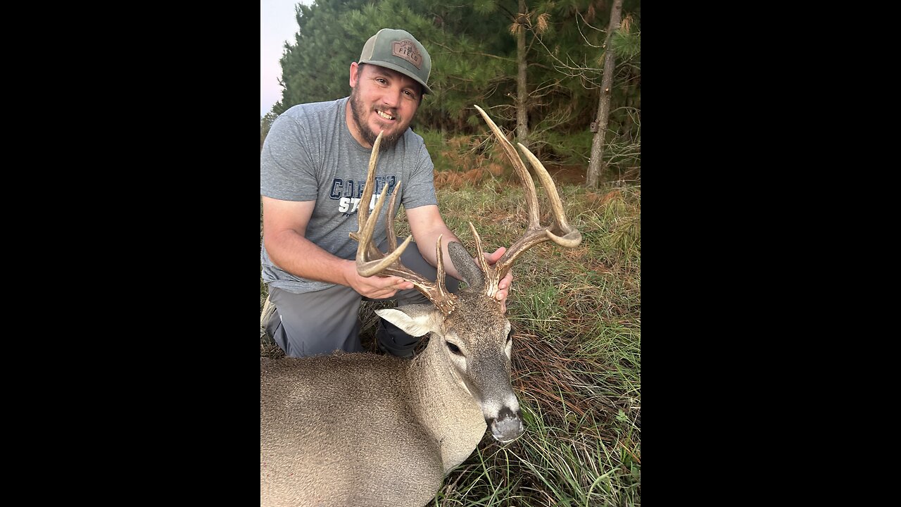 Big Texas Buck During the Early Rut