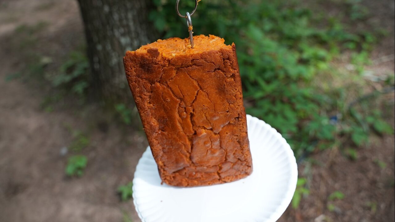 Fresh baked pumpkin bread...eaten by chickens.