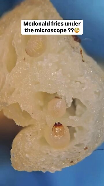 McDonald’s Under A Microscope