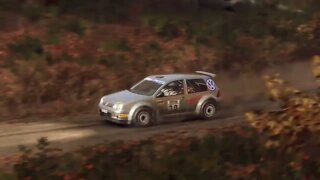 DiRT Rally 2 - Replay - Volkswagen Golf Kitcar at Tolt Valley Sprint Forward