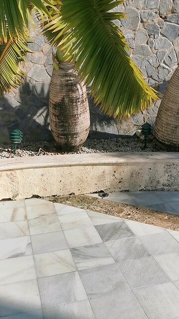 Vacation in Bahia Principe Hotel