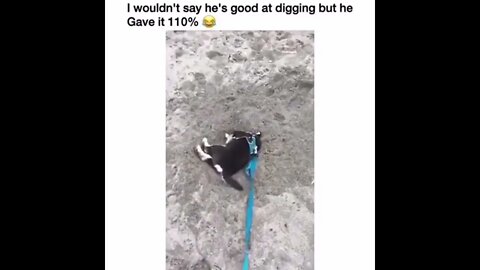 Full Marks for Maximim Effort