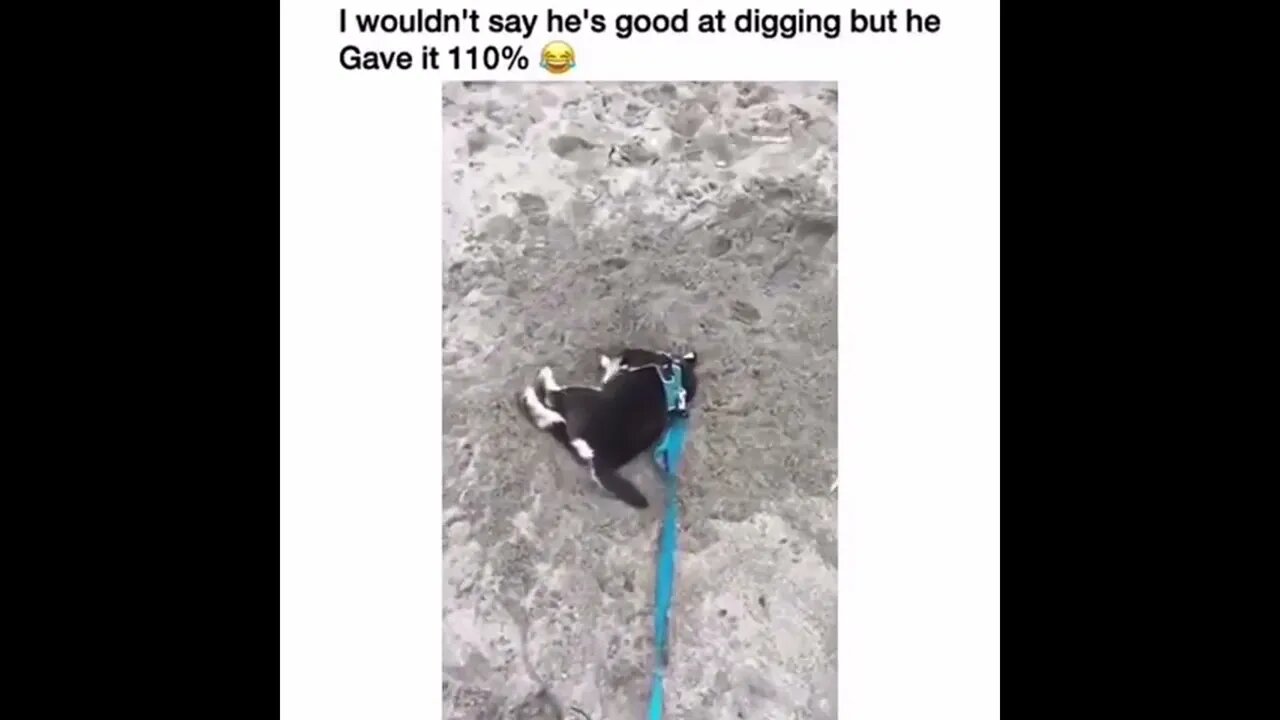 Full Marks for Maximim Effort