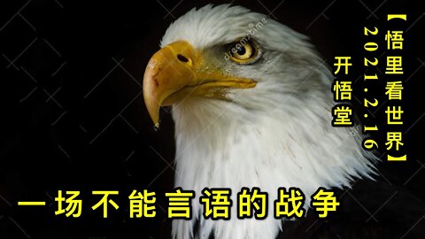 KWT1089一场不能言语的战争20210216-6【悟里看世界】