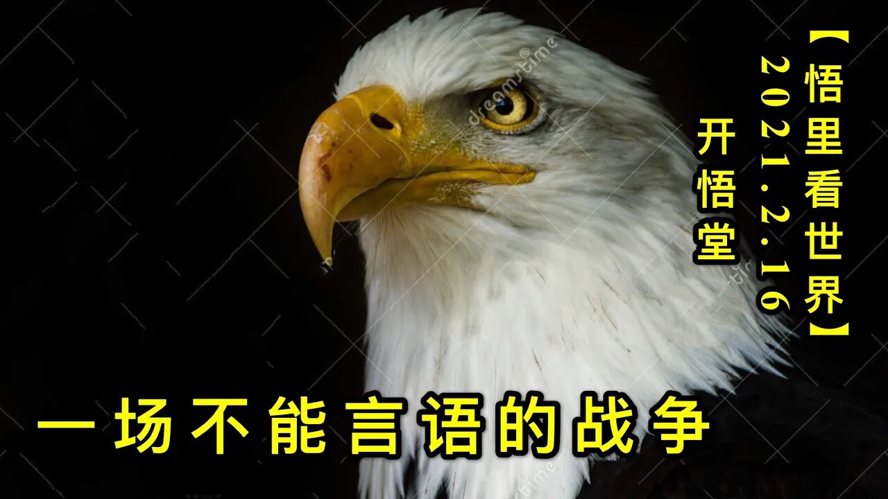 KWT1089一场不能言语的战争20210216-6【悟里看世界】