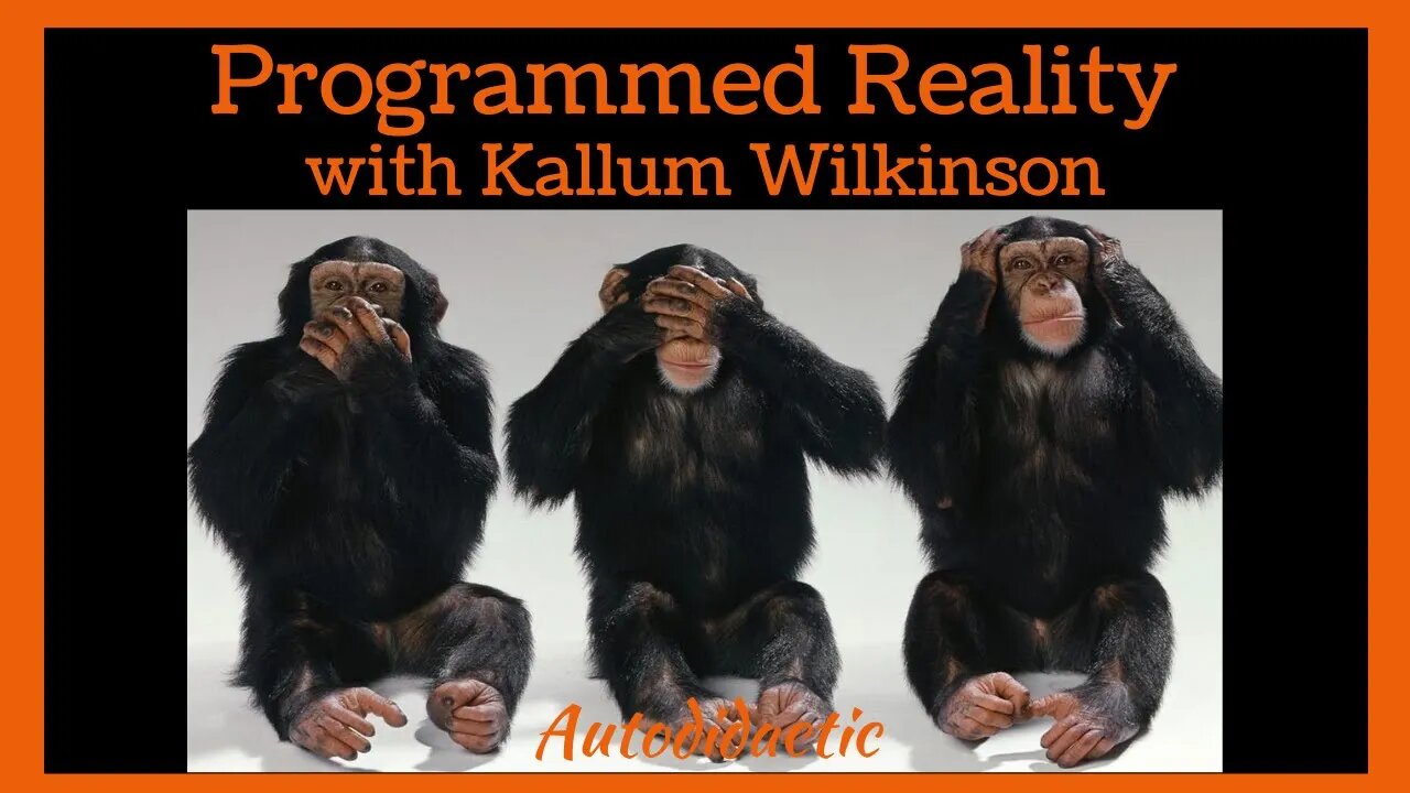 Programmed Reality with Kallum Wilkinson