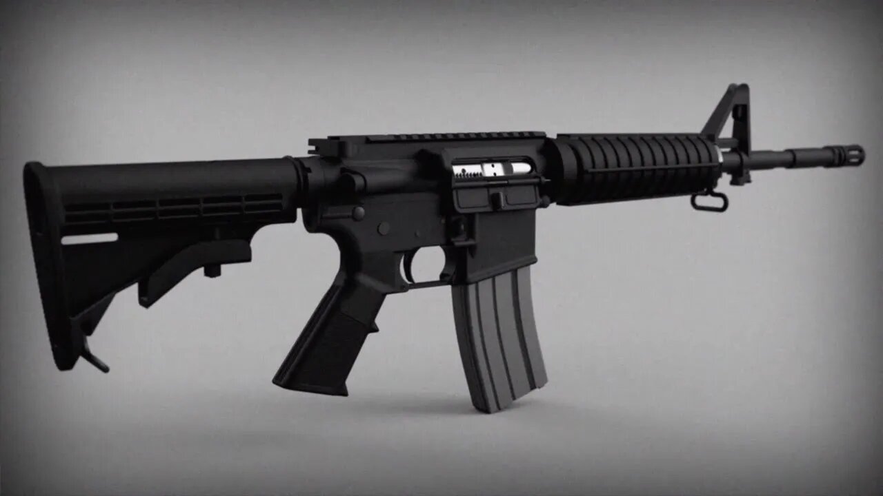 DetDisp AR15 Reference Model Release Trailer