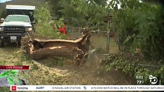 Strong winds cause damage in Alpine