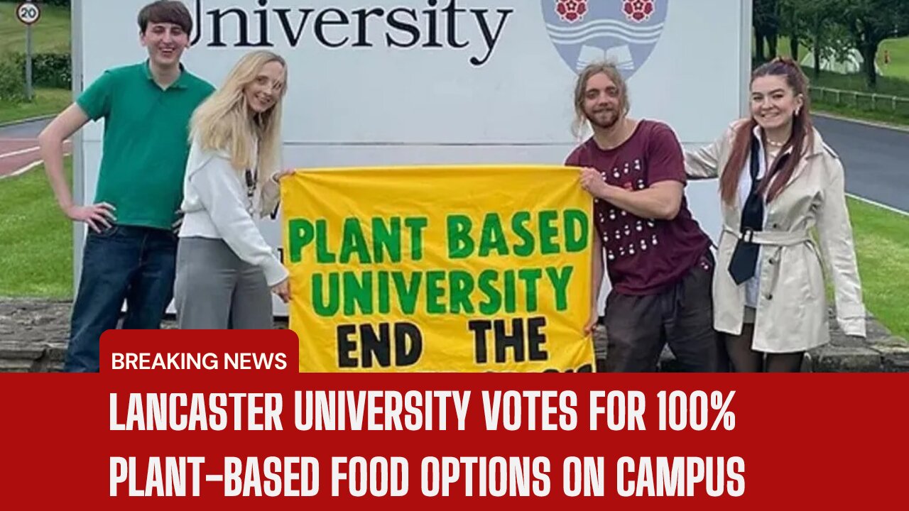 Students want campus to go vegan-only | News Today | UK | Lancaster University