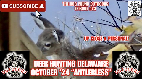 DEER HUNTING DELAWARE OCTOBER 2024! LAST DAY OF A 3 DAY ANTLERLESS FIREARMS SEASON!