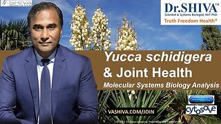 Dr.SHIVA™: Yucca on Joint Health @CytoSolve® Systems Analysis(3/21)