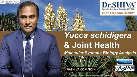 Dr.SHIVA™: Yucca on Joint Health @CytoSolve® Systems Analysis(3/21)