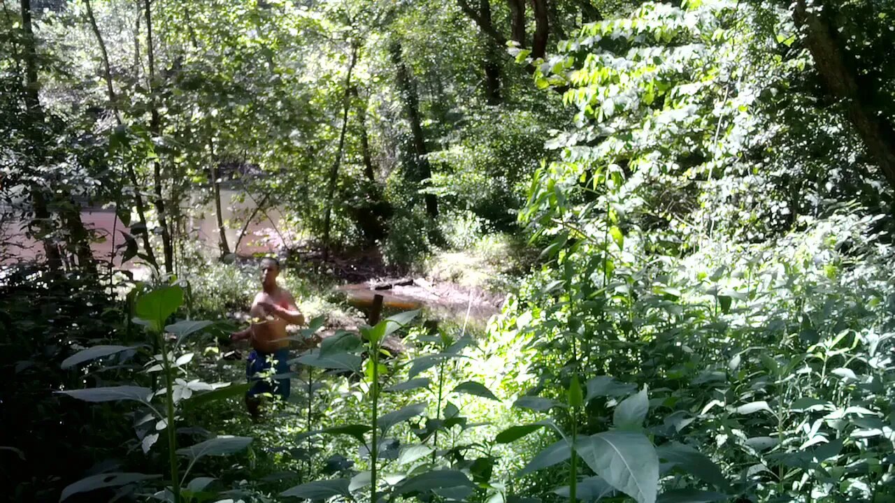 Trail cam view of a secret fishing hole...