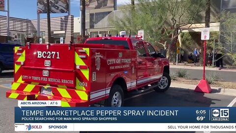 Police searching for shoplifting suspect who pepper sprayed shoppers