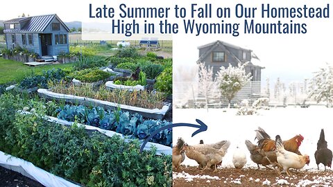 Late Summer to Fall Around Our Homestead High in the Wyoming Mountains - Daily Life Ups & Downs