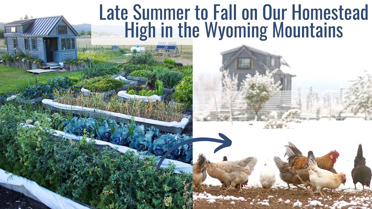 Late Summer to Fall Around Our Homestead High in the Wyoming Mountains - Daily Life Ups & Downs